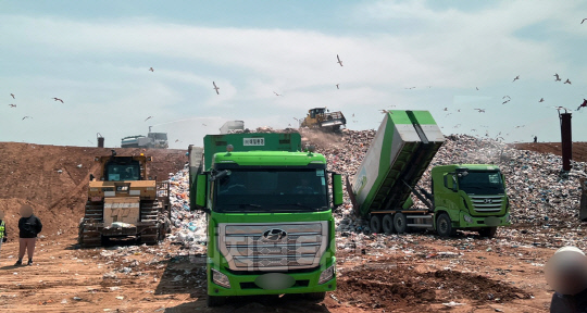 수도권매립지 제3-1매립지에 쓰레기가 부려지면 갈매기들이 앞다퉈 음식물쓰레기 냄새를 맡고 달려든다. 사진 이미연 기자